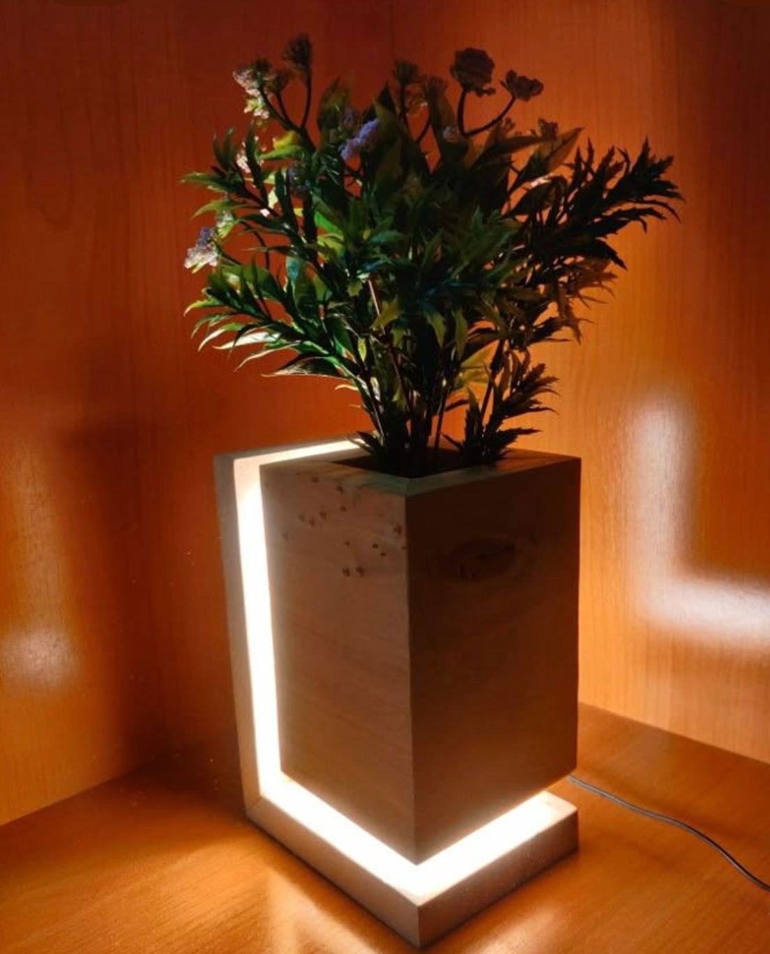 Masetero Luminoso Zen